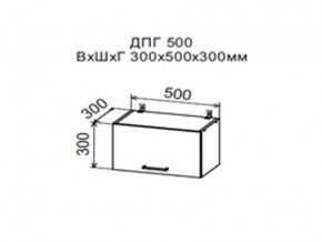Шкаф верхний ДПГ500 горизонтальный в Верхотурье - verhoture.магазин96.com | фото