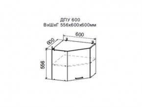 Шкаф верхний ДПУ600 угловой в Верхотурье - verhoture.магазин96.com | фото